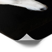 Serenity Prayer Poster voor Paarden en Mensen (Hoek)