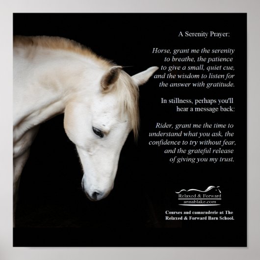 Serenity Prayer Poster voor Paarden en Mensen (Voorkant)