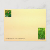 Serenity Prayer postkaart/briefkaart Briefkaart (Achterkant)