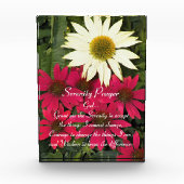 Serenity Prayer Rode Coneflowers Bloemen Fotoblokken (Voorkant)