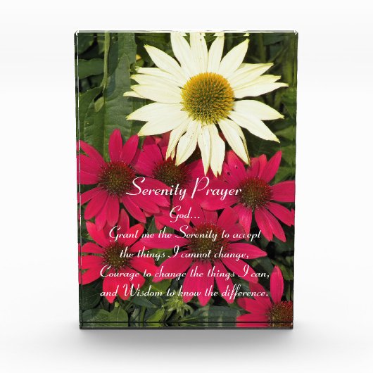 Serenity Prayer Rode Coneflowers Bloemen Fotoblokken (Voorkant)