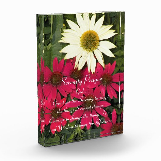 Serenity Prayer Rode Coneflowers Bloemen Fotoblokken (Links)