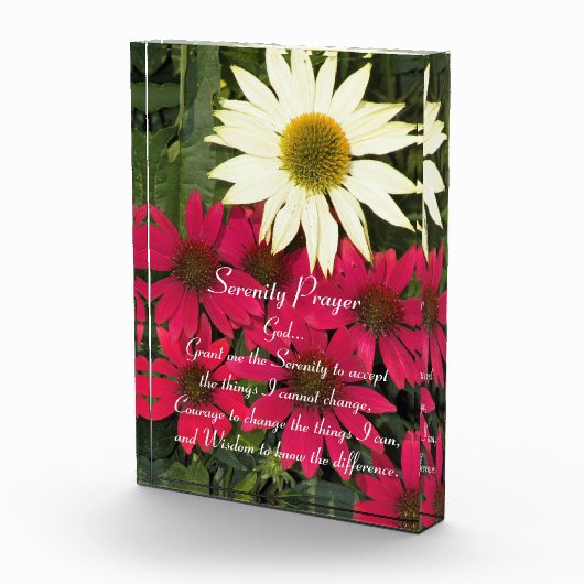 Serenity Prayer Rode Coneflowers Bloemen Fotoblokken (Rechts)