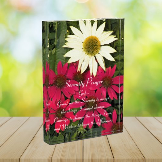 Serenity Prayer Rode Coneflowers Bloemen Fotoblokken