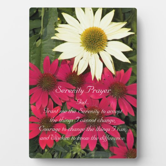 Serenity Prayer Rode Coneflowers Bloemen Fotoplaat (voorkant)