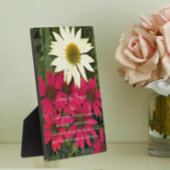 Serenity Prayer Rode Coneflowers Bloemen Fotoplaat