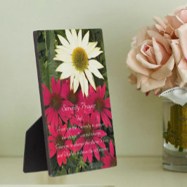 Serenity Prayer Rode Coneflowers Bloemen Fotoplaat