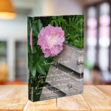 Serenity Prayer Roze Pioenenbloem Bloemen