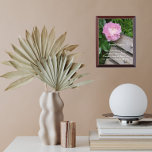 Serenity Prayer Roze Pioenenbloem Bloemen Troffee Gedenkplaat<br><div class="desc">Een houten wandplaat is voorzien van het afbeelding van een roze pony-bloem die boven een houten parkbank hangt,  samen met de inspirerend woorden van de Serenity Prayer. Een mooi,  bloemetjesontwerp! Selecteer de grootte van uw muurplak. Een doordacht cadeau voor familie en vrienden!</div>