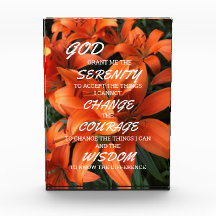 Serenity Prayer Sinaasappel Lily Floral Foto