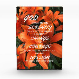 Serenity Prayer Sinaasappel Lily Floral Foto