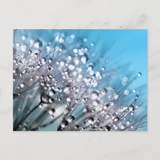 Serenity Prayer Sparking Dew Sky Blue Background Briefkaart (Voorkant)