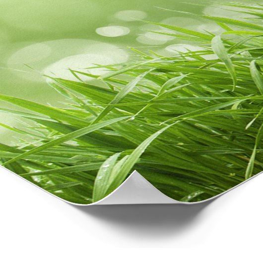 Serenity Prayer - Spring. Poster (Hoek)