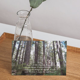 Serenity Prayer Sunlit Forest Photo Blank Kaart