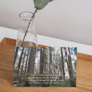 Serenity Prayer Sunlit Forest Photo Blank Kaart