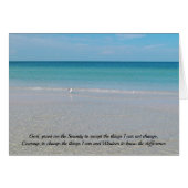 Serenity Prayer Zee Gull and the Beach (Voorkant Horizontaal)