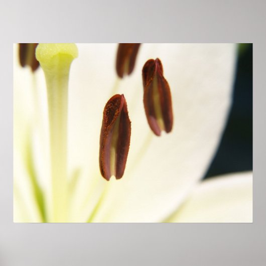 Serenity Print (Voorkant)