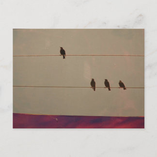 Serenity Series-Briefkaart Briefkaart