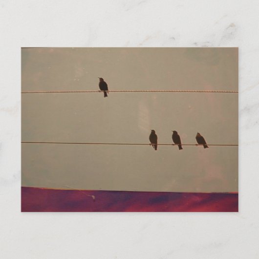 Serenity Series-Briefkaart Briefkaart (Voorkant)