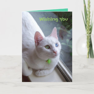 Serenity vakantiekaart feestdagen kaart