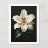 Serenity White Lily - Elegante Bloemenaanbieding Briefkaart (Voorkant)