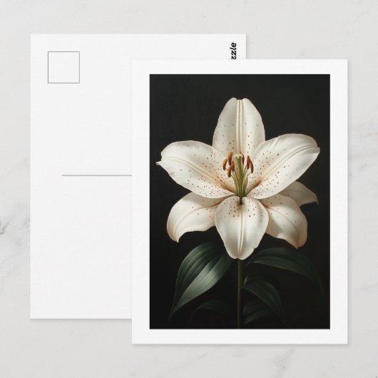 Serenity White Lily - Elegante Bloemenaftrek Briefkaart (Voorkant / Achterkant)