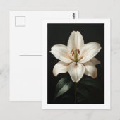 Serenity White Lily - Elegante Bloemendroom Briefkaart (Voorkant / Achterkant)