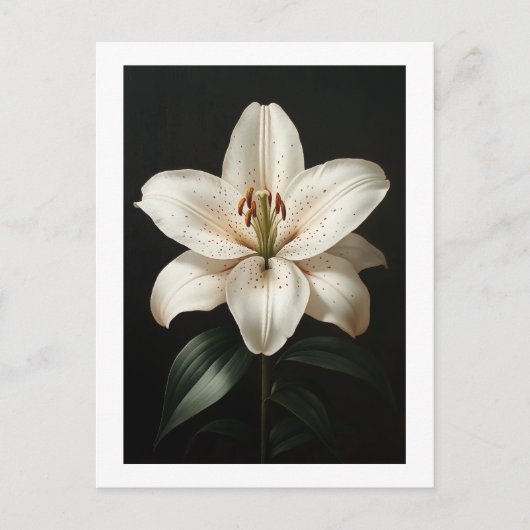 Serenity White Lily - Elegante Bloemendroom Briefkaart (Voorkant)