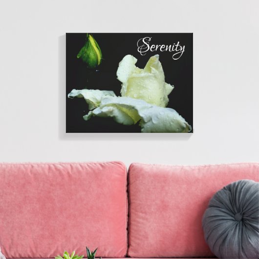 Serenity White Rosebud Inspirerend Words Canvas Afdruk (Insitu (Woonkamer))