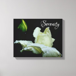 Serenity White Rosebud Inspirerend Words Canvas Afdruk