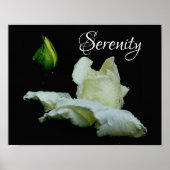 Serenity White Rosebud Inspirerend Words Poster (Voorkant)