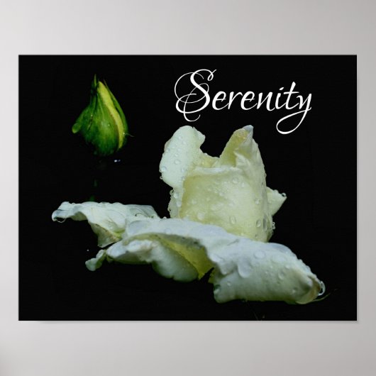 Serenity White Rosebud Inspirerend Words Poster (Voorkant)