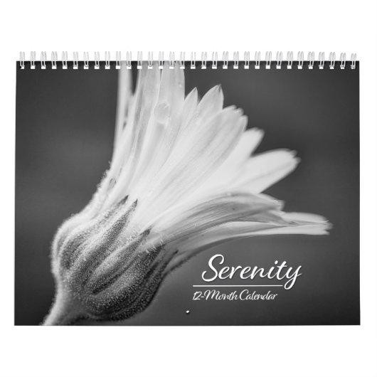 Serenity: zwart-wit foto's kalender (Hoes)
