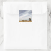 Sergeant biedt veiligheid vierkante sticker (Tas)