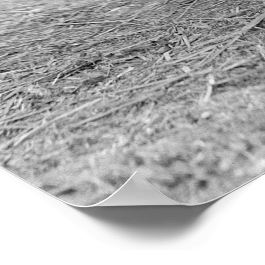 Sergeant-majoor Jiggs: 1925 Poster (Hoek)