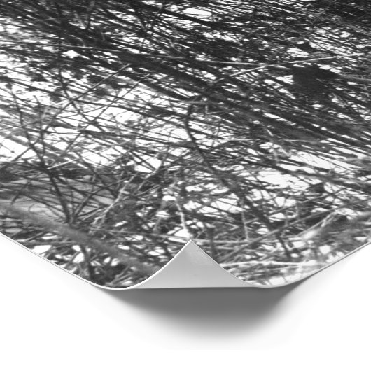 Sergeant York in het Argonne Forest - 1919 Poster (Hoek)