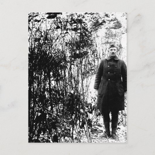 Sergt. Alvin C. York, 328ste Afbeelding Briefkaart (Voorkant)