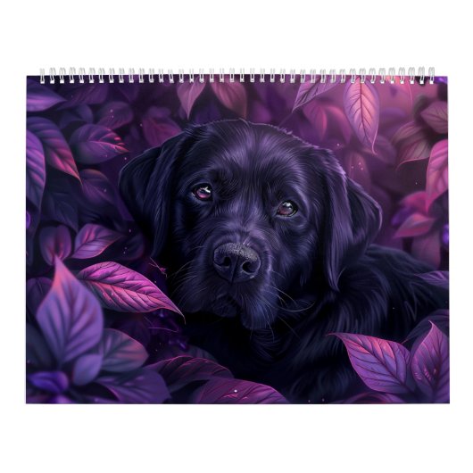 Serie 1 kalender (Hoes)