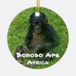 Serie Bonobo Ape Keramisch Ornament