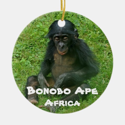 Serie Bonobo Ape Keramisch Ornament (Voorkant)