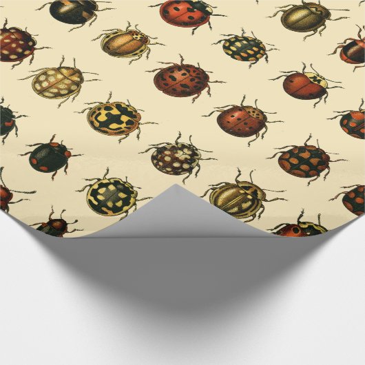 Serie van Ladyvogels Cadeaupapier (Hoek)