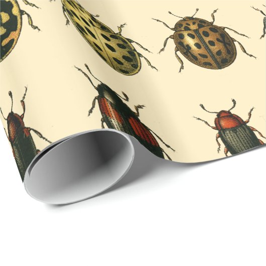 Serie van Ladyvogels Cadeaupapier (Rol Hoek)