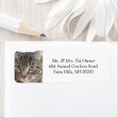 Seriële kat Sluiten Return Address Labker Etiket (Insitu)