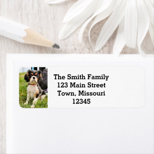 Seriële Return Address Label (Insitu)