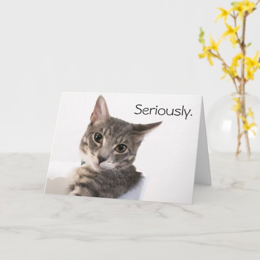 Serieus Buster Verjaardag Kaart (Gele Bloem)