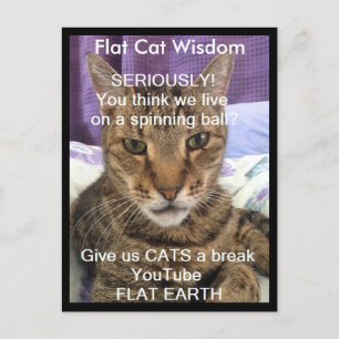 Serieus Sebastian Briefkaart