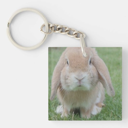 serieuze bunny foto sleutelhanger (voorkant)