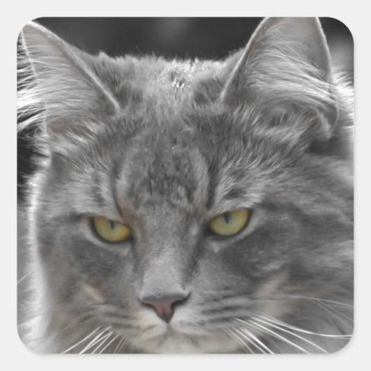 Serieuze Buster Vierkante Sticker (Voorkant)