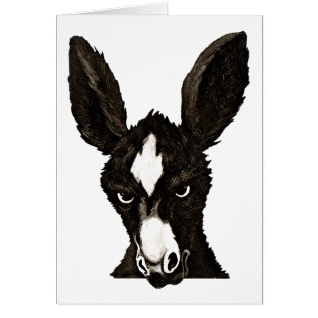Serieuze Donkey-schrijf je eigen wittekst (Voorkant)