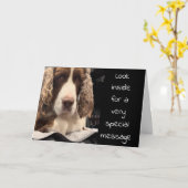 SERIEUZE HOND ZEGT "KIJK NAAR BINNEN" VERJAARDAG W KAART (Gele Bloem)